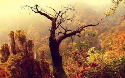 Pomysł na ciekawą wycieczkę dwudniową w Małopolsce – Ojcowski Park Narodowy, Zator i Energylandia