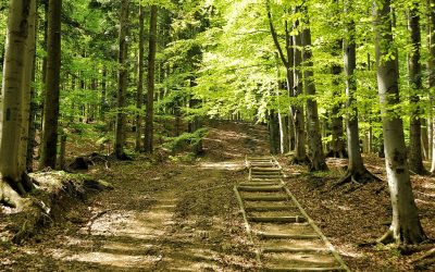Tygodniowa wycieczka do Małopolski – Babiogórski Park Narodowy, Zator i Energylandia