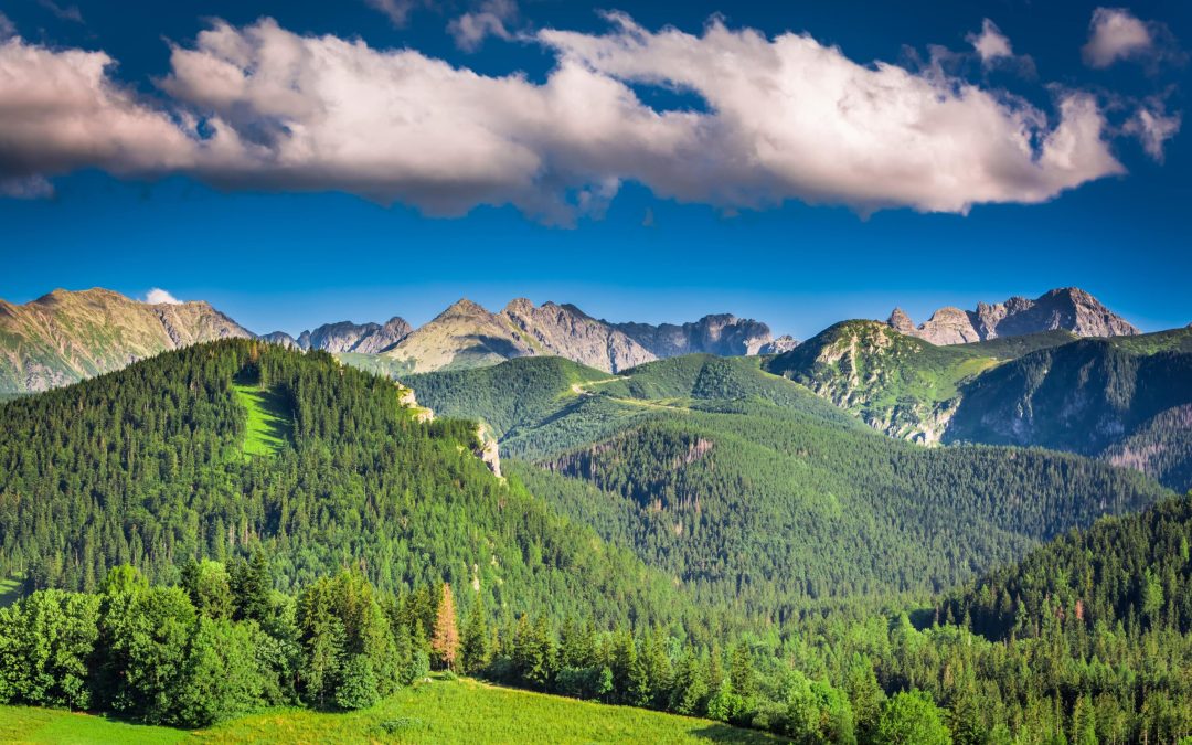 tatry