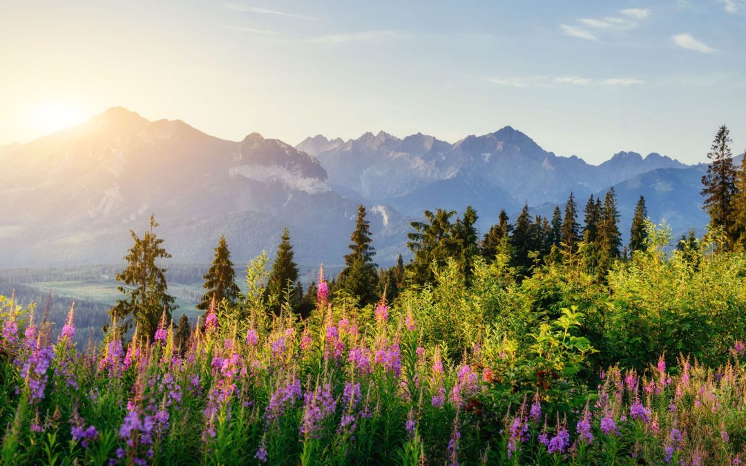 zakopane atrakcje