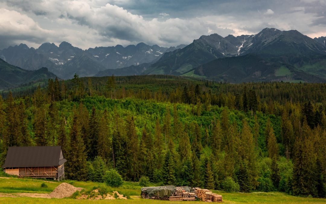 widok_na_góry